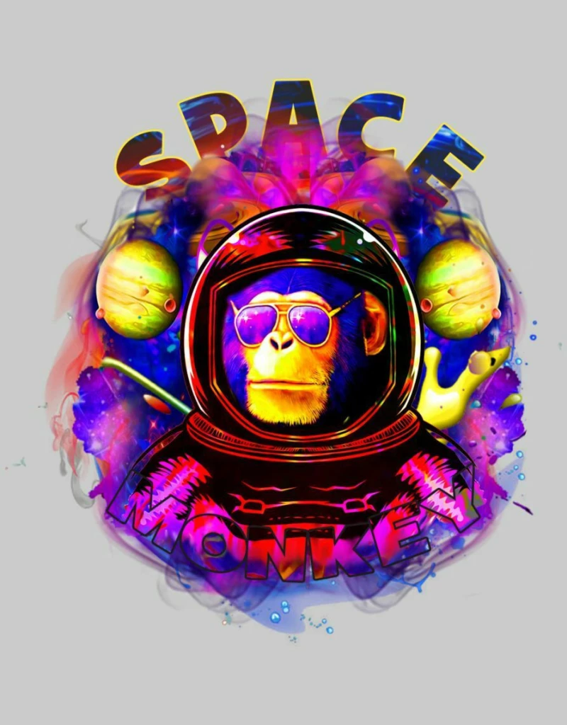Space Monkey w T-shirt - WHITE