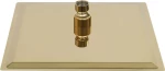 vidaXL 147708 Κεφαλή Ντουζ Gold