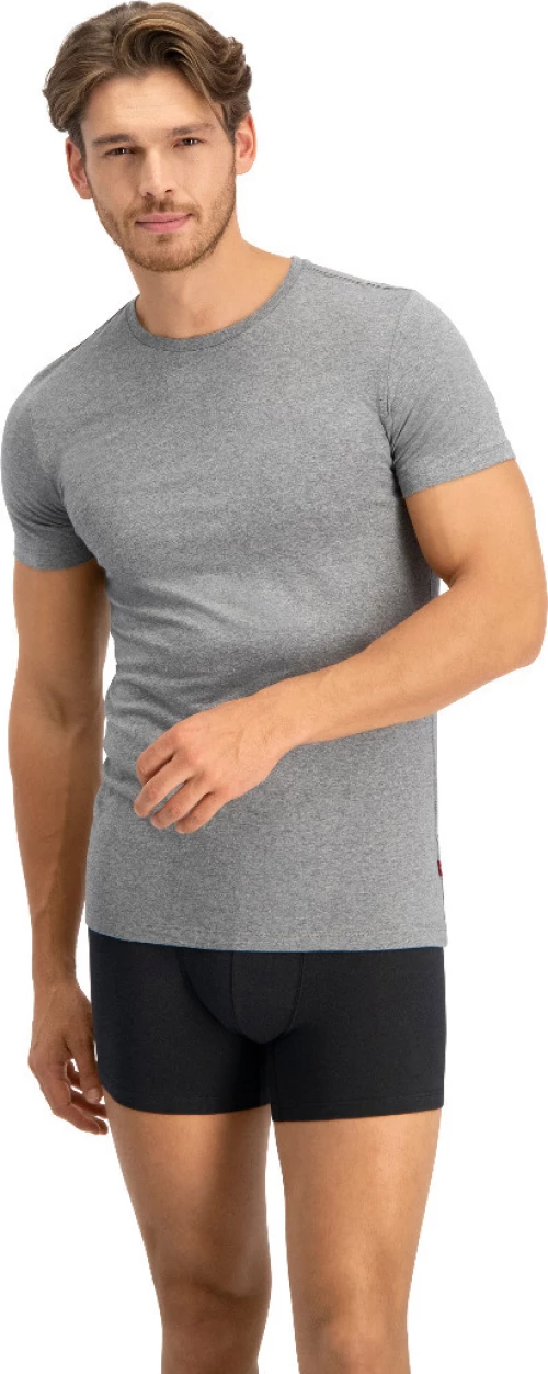 Levi's 2Pack 905055001-758 Grey