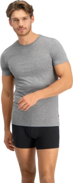 Levi's 2Pack 905055001-758 Grey