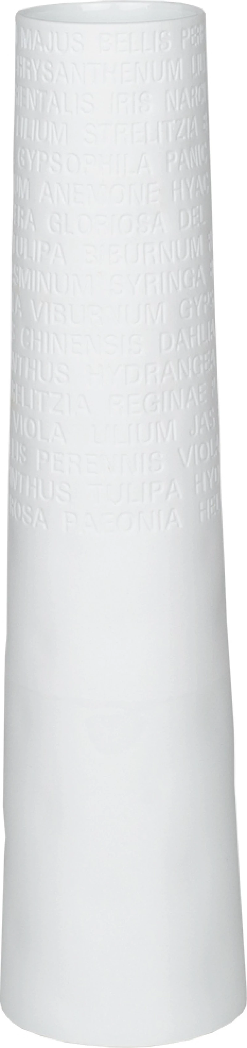 Raeder Διακοσμητικό Βάζο Πορσελάνης Λευκό 7.5x7.5x30cm