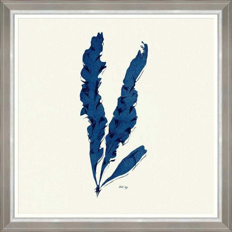 Κάδρο Seaweed Iv Fa13395 70X70Cm White-Blue Mindthegap Τετράγωνοι Ξύλο