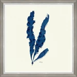 Κάδρο Seaweed Iv Fa13395 70X70Cm White-Blue Mindthegap Τετράγωνοι Ξύλο