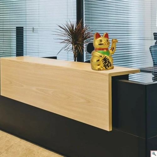 Διακοσμητική Γάτα Feng Shui Welcome 18cm