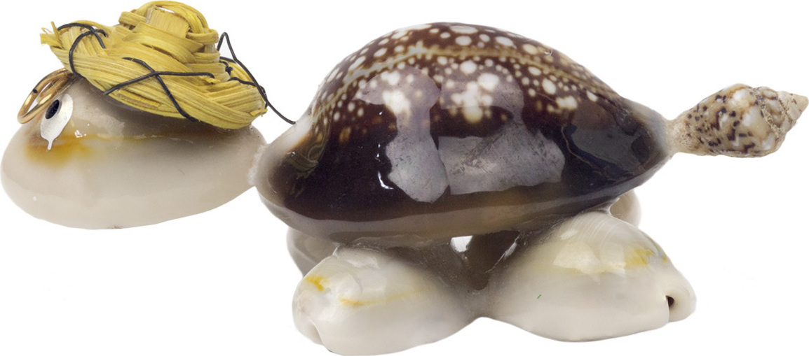 Χελωνάκι από κοχύλια με κίτρινο καπέλο