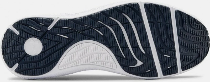 Under Armour Charged Pursuit 2 Ανδρικά Αθλητικά Παπούτσια Running Μπλε