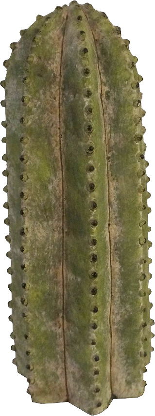 Espiel Διακοσμητικός Κάκτος από Κεραμικό Υλικό 11.5x11.5x32cm