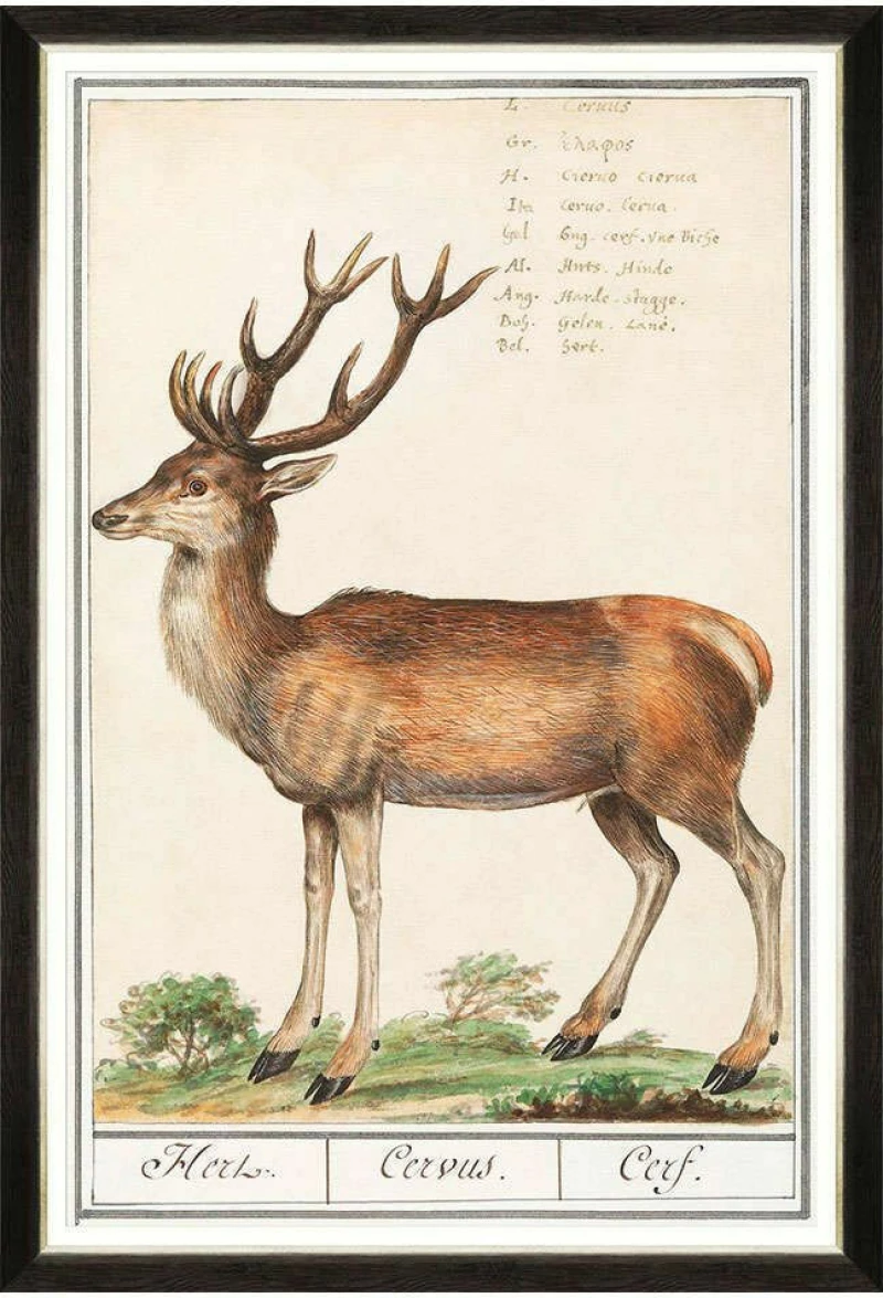 Κάδρο Cervus FA13239 60x90cm Brown-Green MindTheGap Κάθετοι Ξύλο