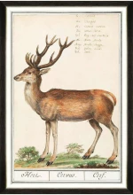 Κάδρο Cervus FA13239 60x90cm Brown-Green MindTheGap Κάθετοι Ξύλο