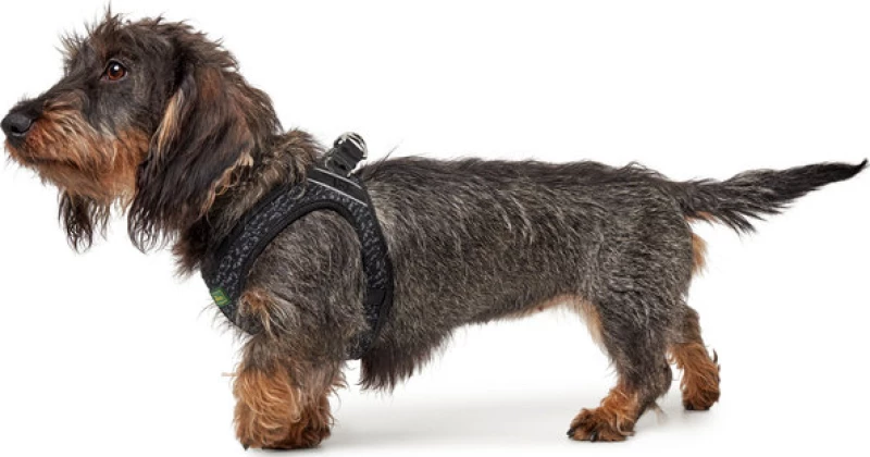 ΕΠΙΣΤΗΘΙΟ HUNTER HILO SOFT COMFORT 58-65CM ΓΚΡΙ