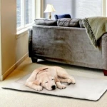Χαλάκι Κατοικίδιων - Heating Pet Bed 60x46x2εκ