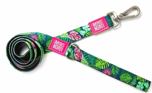 MAX MOLLY ΟΔΗΓΟΣ TROPICAL LARGE