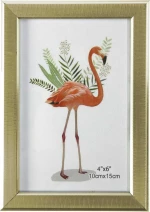 Viosarp Κορνίζα Μεταλλική 10x15cm