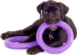Puller Παιχνίδι Σκύλου Frisbee 28cm 2τμχ