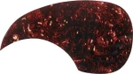 Fire&Stone 558.001 Tortoise Shell