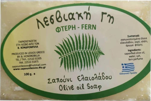 Λεσβιακή Γη Σαπούνι Ελαιολάδου Φτέρη 100gr