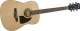 Ibanez Ακουστική Κιθάρα AW30NT Artwood Series Natural