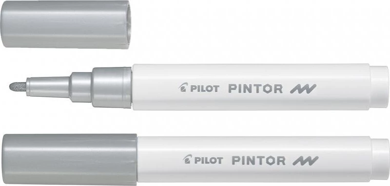 Pilot Pintor Fine 1mm Silver