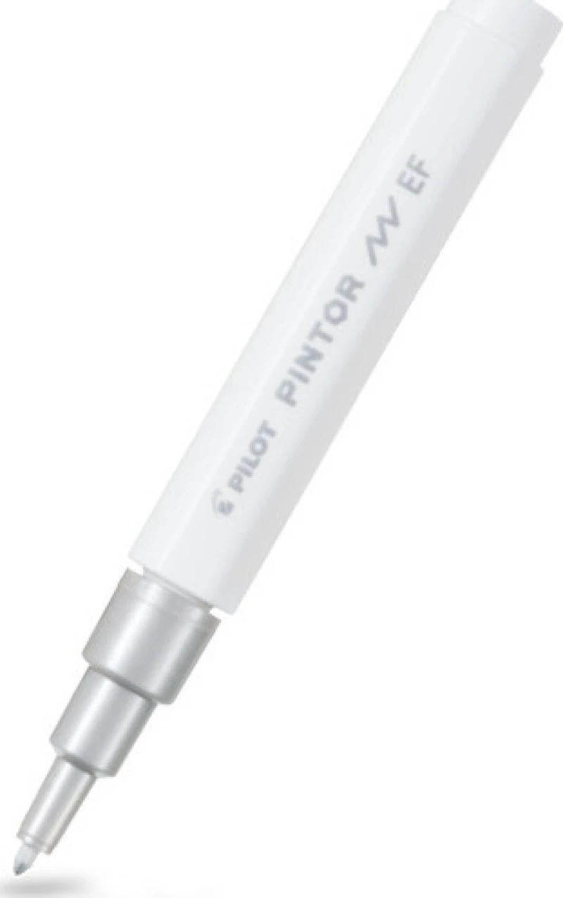 Pilot Pintor Fine 1mm Silver