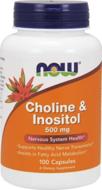 Now Foods Choline & Inositol 500mg 100 κάψουλες