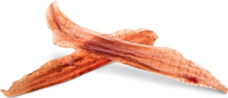 Proline Boxby Slices Πάπια 100gr