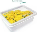 Depilia Mimosa Paraffin 500ml