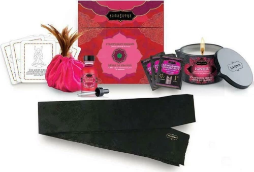 Kama Sutra Treasure Trove Case