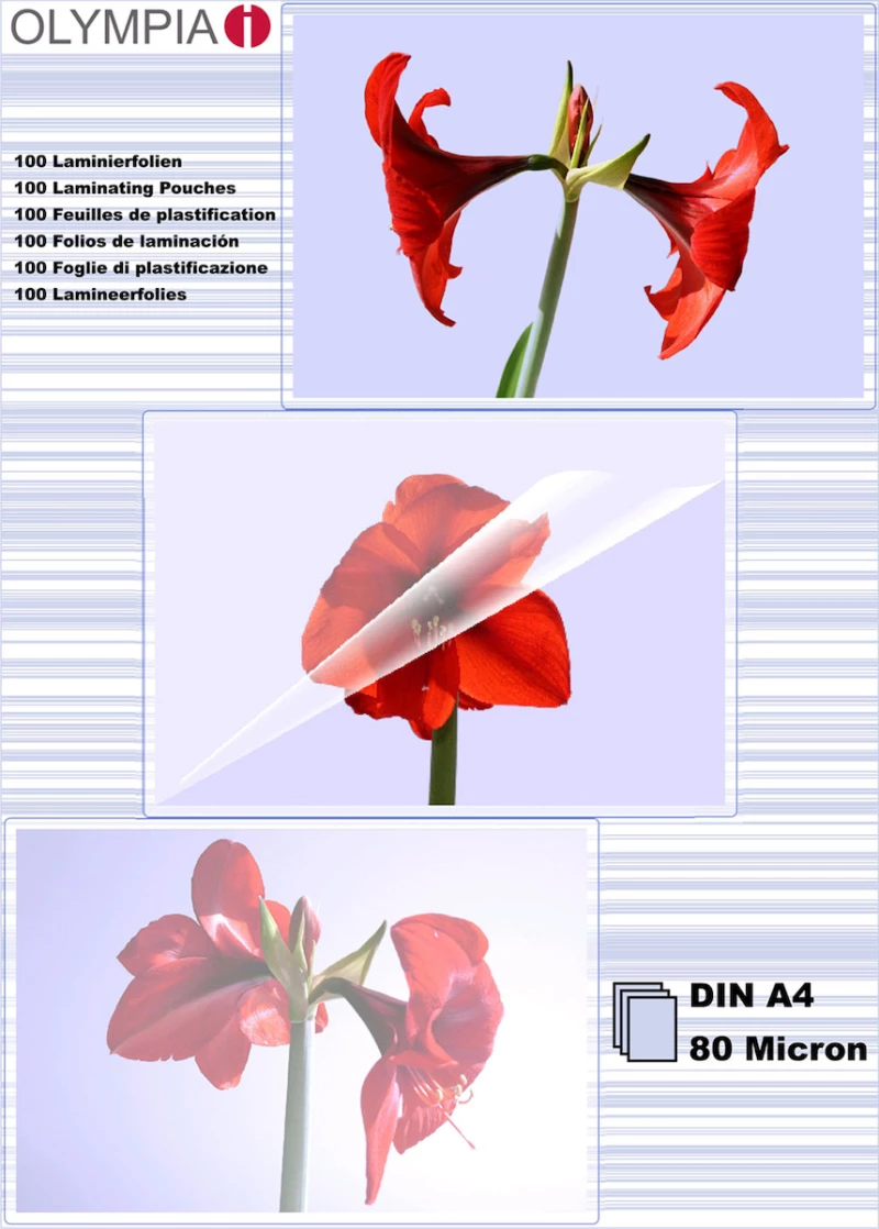 Olympia Din A4 80 Micron Φύλλα Πλαστικοποίησης 100 τμχ 9166