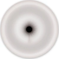 Ns Novelties Renegade Universal Replacement White