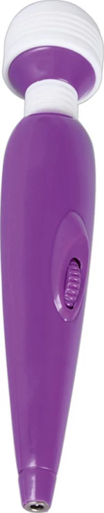 You2Toys Passion Pointer Mini 20cm Purple