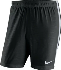 Nike Dry Vnm Short Ii Woven Short M 894331-010
