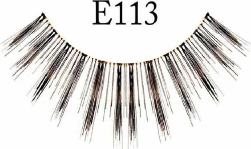 Ε113