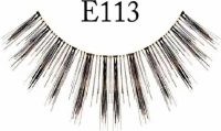 Ε113