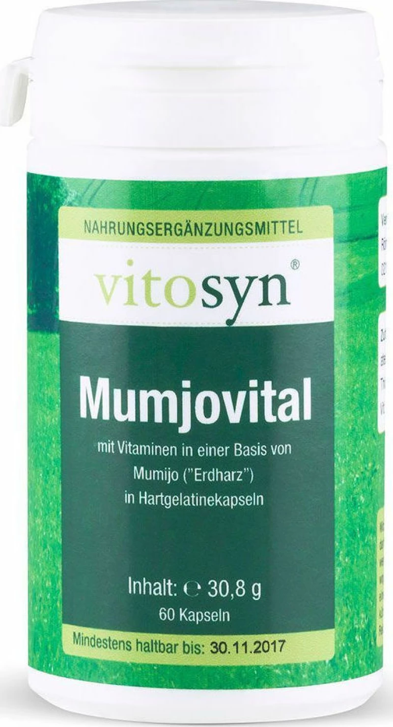 Metapharm Vitosyn Mumjovital 60 κάψουλες