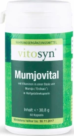 Metapharm Vitosyn Mumjovital 60 κάψουλες