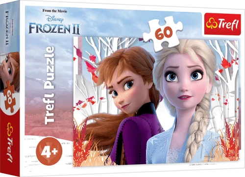 The Enchanted World Of Anna And Elsa 60pcs Trefl