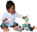 Baby to Love Educational Cubes