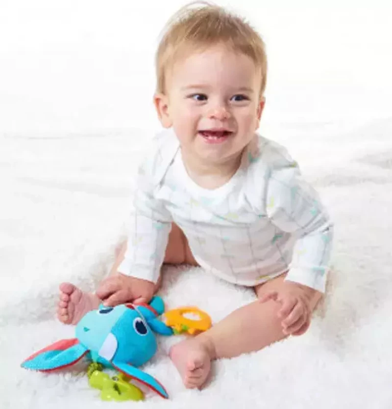 Tiny Love Jitter Thomas Rabbit