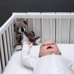 Zazu Kids Κοάλα Νανουρίσματος