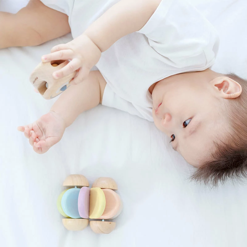Plan Toys Μαγικός Τροχός (5252) 5252