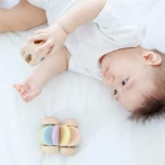 Plan Toys Μαγικός Τροχός (5252) 5252