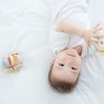 Plan Toys Μαγικός Τροχός (5252) 5252