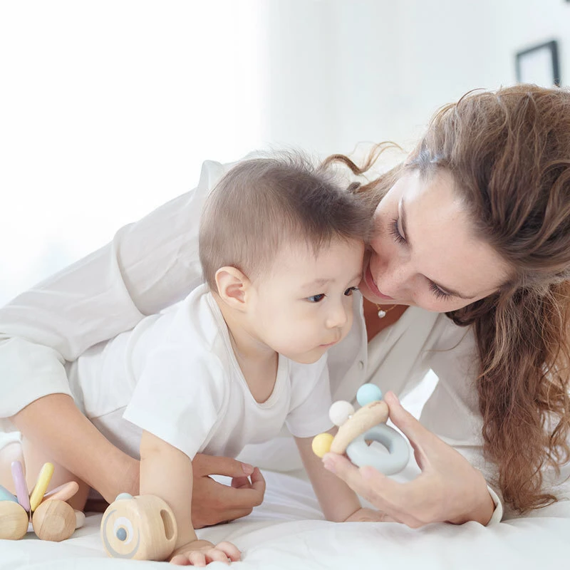 Plan Toys Μαγικός Τροχός (5252) 5252