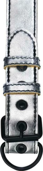 LOVETOY COLLAR WITH LEASH SILVER