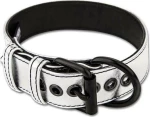 LOVETOY COLLAR WITH LEASH SILVER