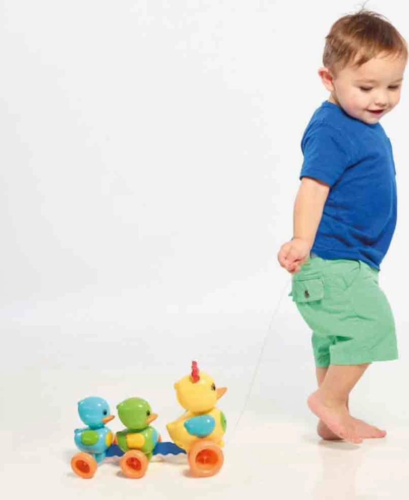 Tomy Quack Along Ducks