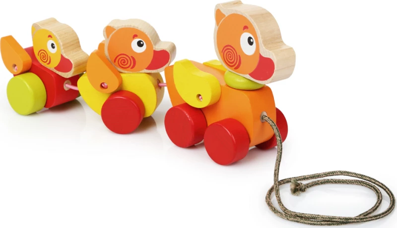 Cubika Push & Pull Duck