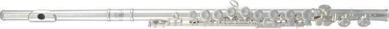 Roy Benson FL-402E Flute - Split E, Offset G