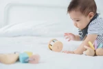 Κύλινδρος (παστέλ) PlanToys 5255