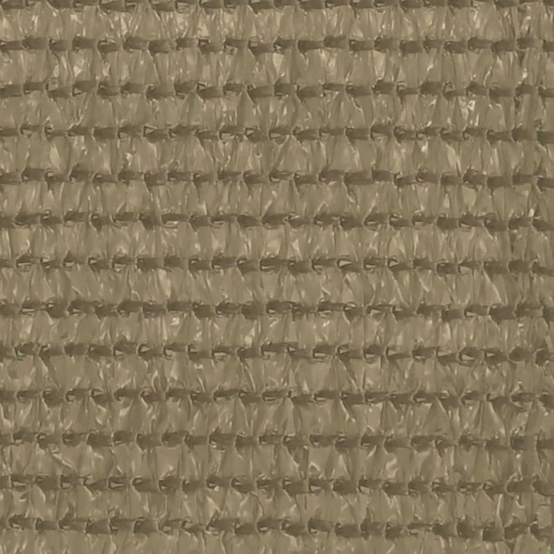 vidaXL Χαλί Σκηνής 250x400εκ. Taupe